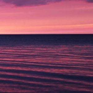 Meet your Posher, Alison